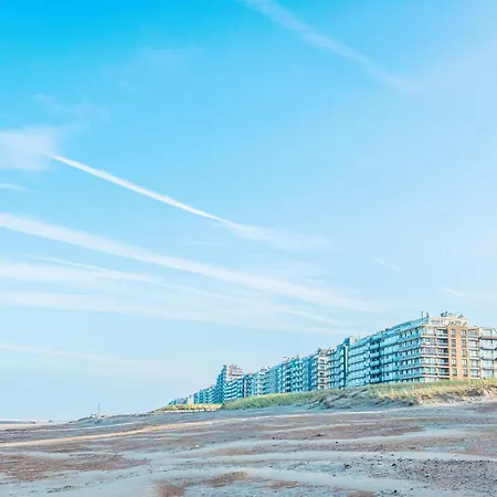 In Near Sandy Beaches