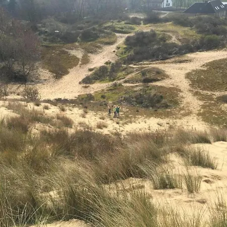 In Near Sandy Beaches *