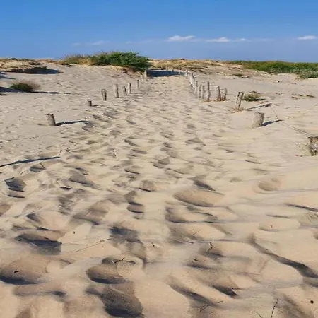 In Near Sandy Beaches Nieuwpoort