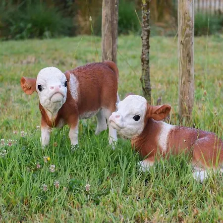 In Near Sandy Beaches * Nieuwpoort
