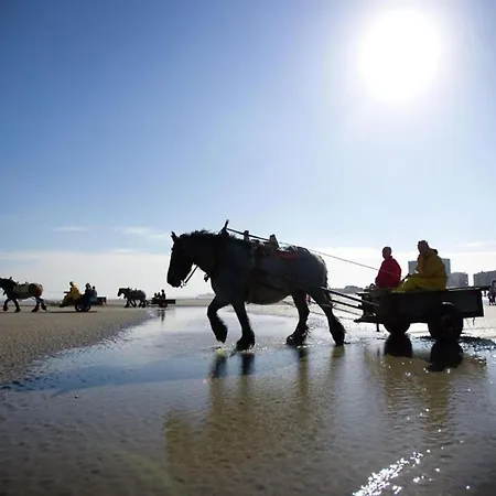 In Near Sandy Beaches