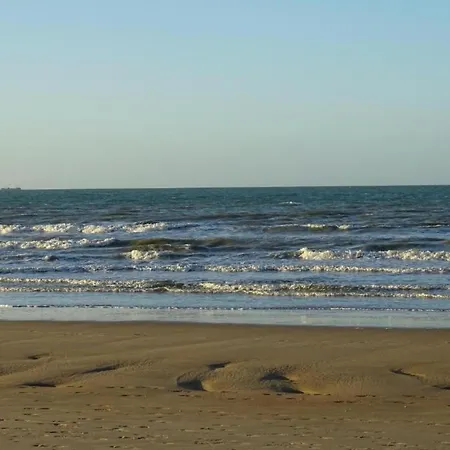 In Near Sandy Beaches *