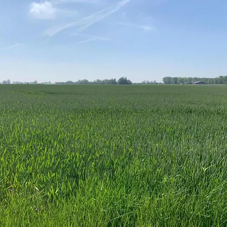 Apartamento In Near Sandy Beaches *