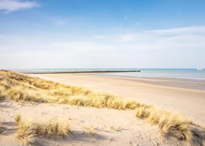 Apartman In Near Sandy Beaches *