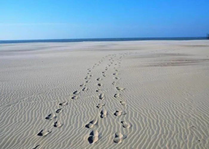 In Near Sandy Beaches Apartman *