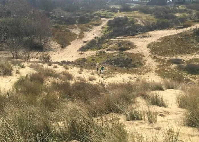 In Near Sandy Beaches *