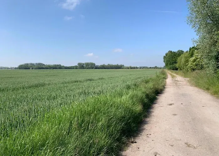 In Near Sandy Beaches