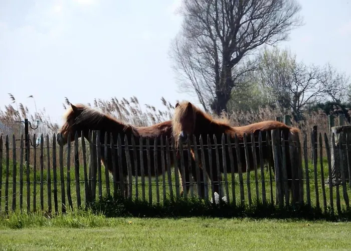 Apartman In Near Sandy Beaches Nieuwpoort