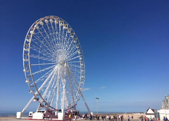 In Near Sandy Beaches *